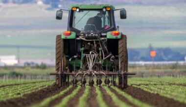 Why a super El Niño event poses fresh risks to food costs