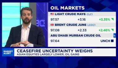 Oil prices could drop to $70 by year-end if Iran war ends: Economist