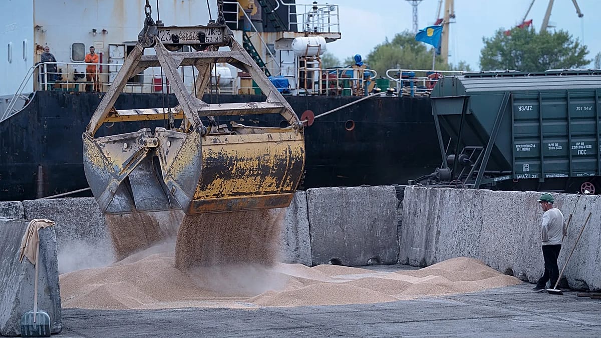 Ukraine summons Israel's ambassador over allegedly stolen grain being shipped to Haifa