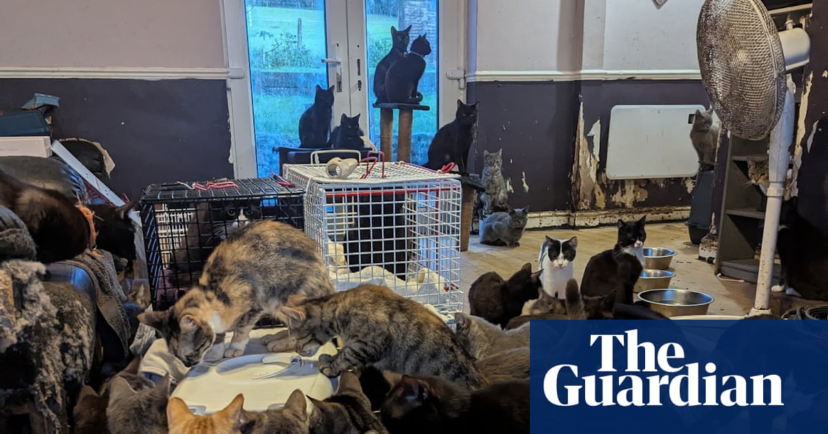 Cost of living and mental health crisis driving mass animal rescues, says RSPCA | Animal welfare