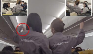 Elderly passenger slaps flight attendant in shocking footage