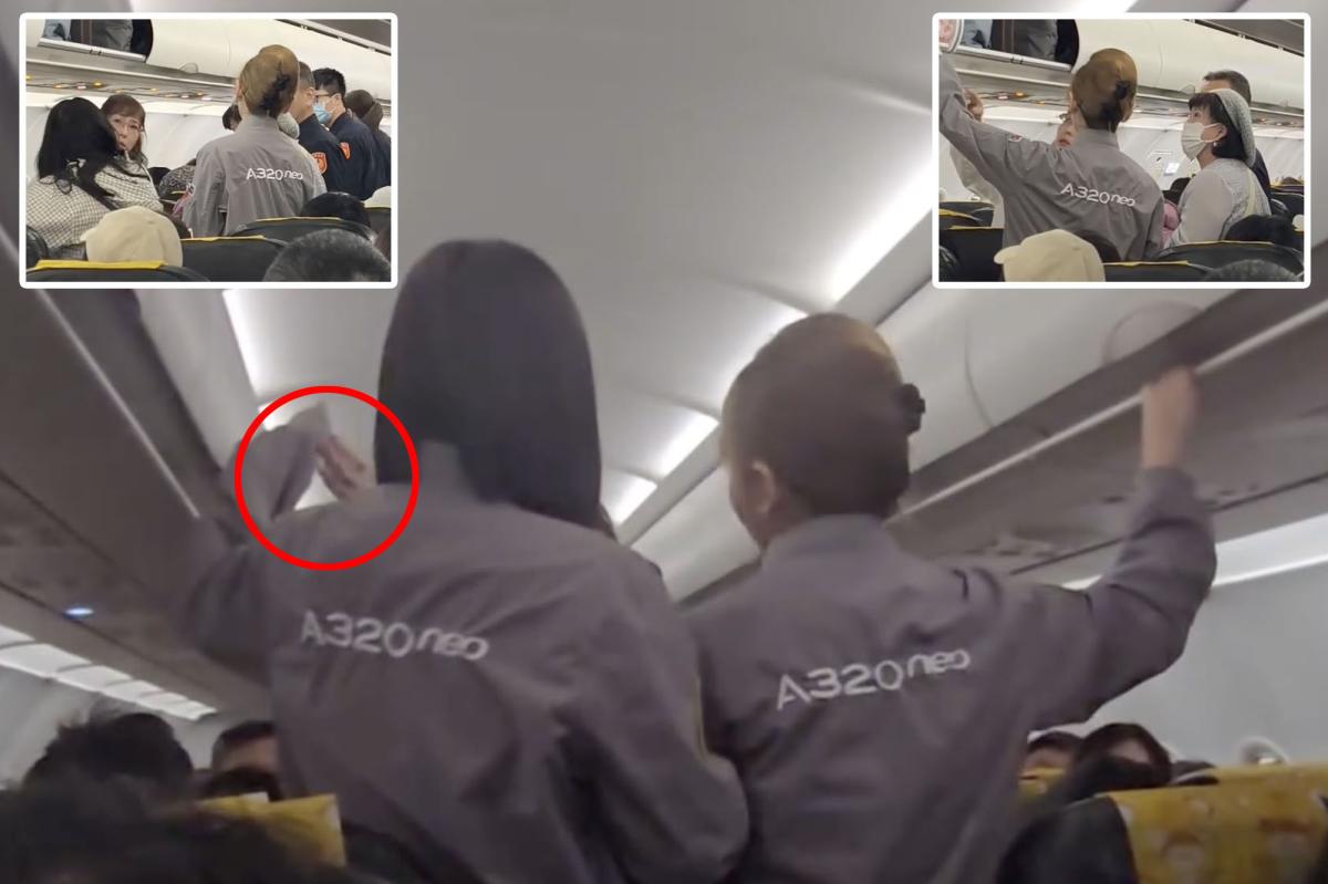 Elderly passenger slaps flight attendant in shocking footage
