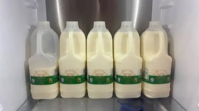 Five large plastic milk bottles lined up on a refrigerator shelf, all identical with green labels, neatly arranged against the metallic back panel inside the fridge