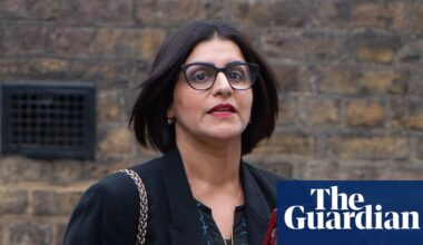 Mahmood’s migration changes will deliver fraction of claimed savings, data suggests | Immigration and asylum