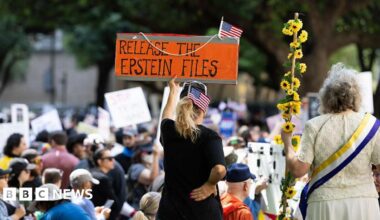 A woman holds a sign at a protest saying "release the epstein files"