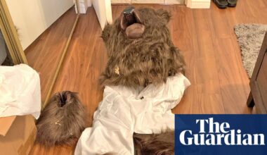 Three people sentenced to jail for bear-suit insurance scam in California | Los Angeles