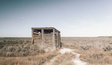 Road Trip Break Turns Into 3-Hour Outhouse Ordeal