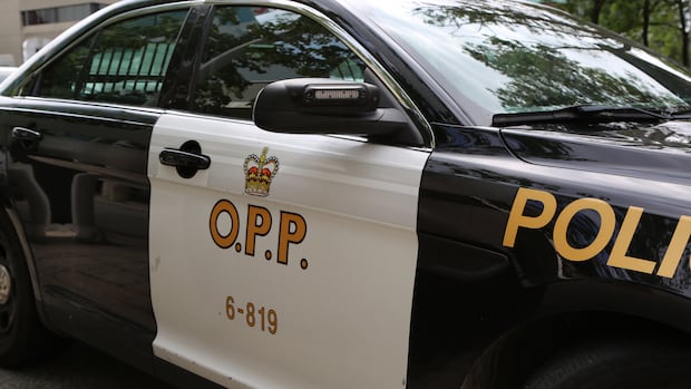 Man, 22, dead following Highway 8 crash in Hamilton, OPP say