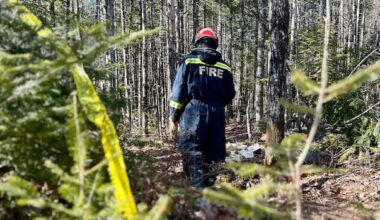Fredericton police find no evidence of crime in discovery of woman's remains