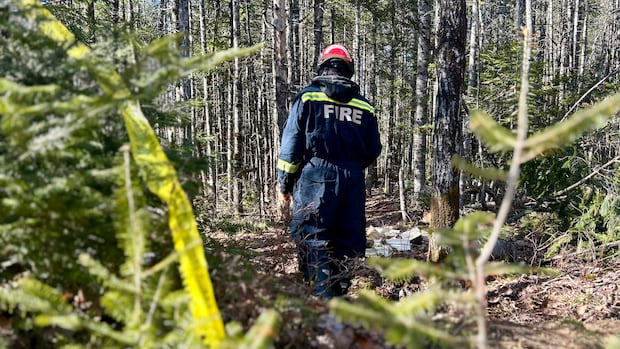 Fredericton police find no evidence of crime in discovery of woman's remains