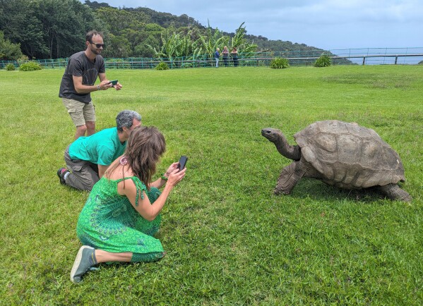 Tourists take photos of Jonathan, a then 192-year-old tortoise, on the lawn of Plantation House in Jamestown on the South Atlantic island of St. Helena, Feb. 22, 2024. (AP Photo/Nicole Evatt, File)