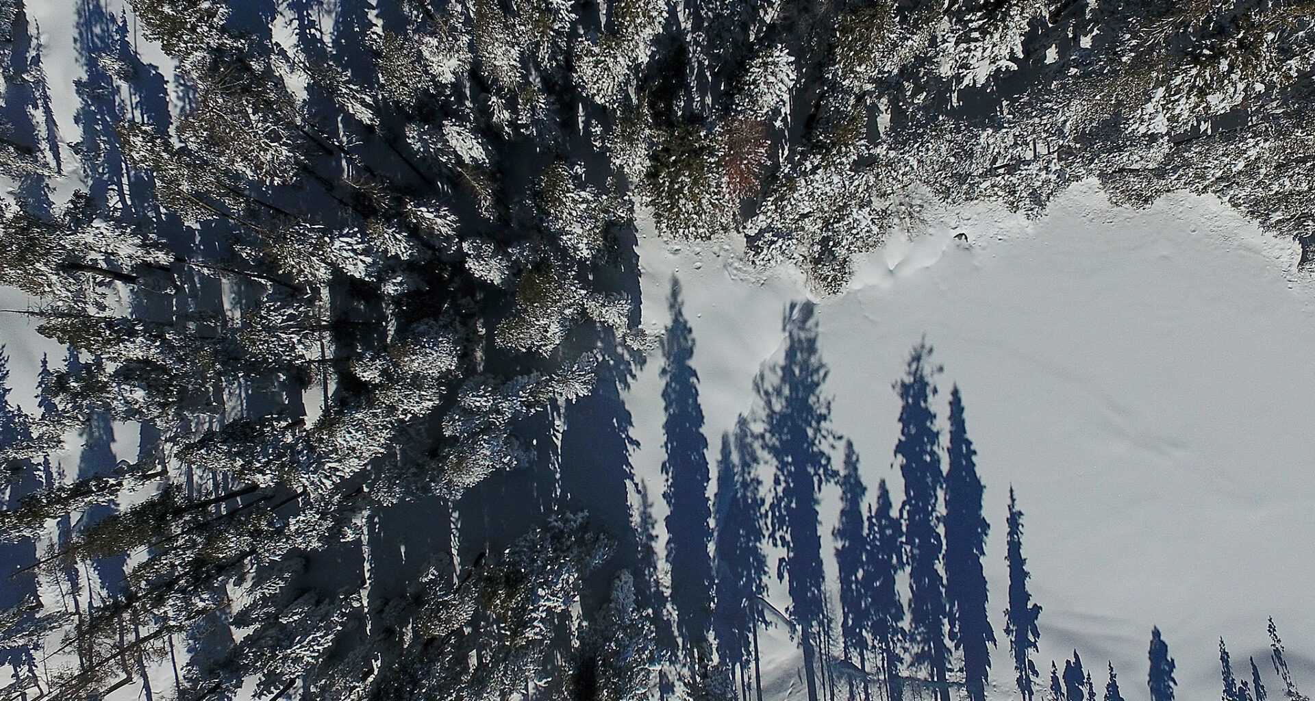 Victims of deadly Tahoe avalanche wore airbags that never inflated