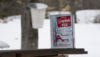Some grocery stores pull bogus maple syrup after Radio-Canada investigation