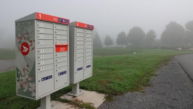 Eastern Ontarians worried as Canada Post considers cutting door-to-door delivery