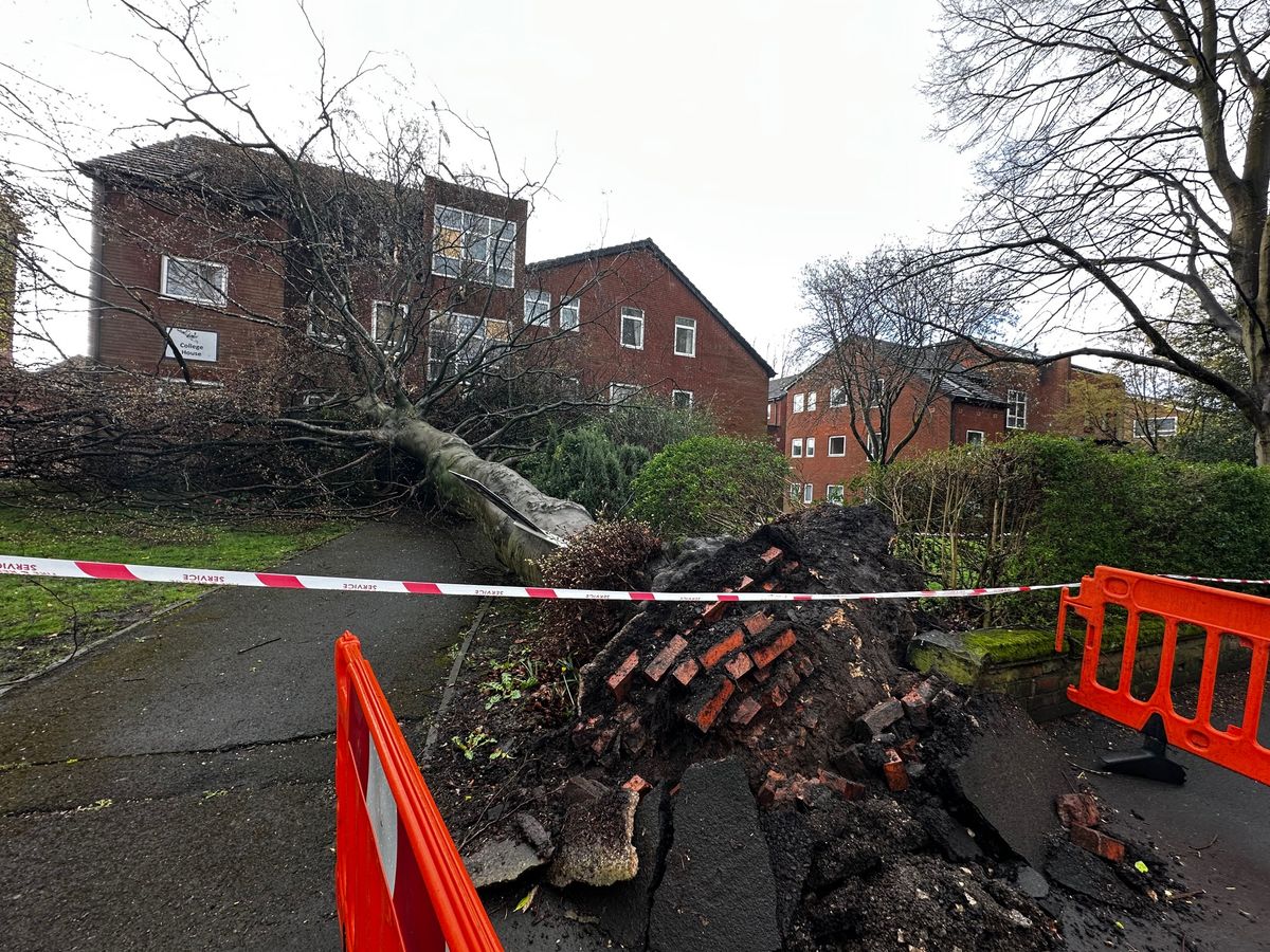 Fallen tree on Heaton Moor Road, Stockport after Storm Dave hit overnight