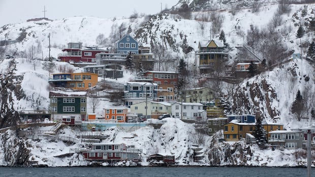 Tale of flight stuck on 'freezing Canadian island' gets warm laughs in Newfoundland