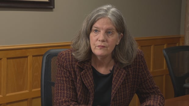 'The justice system has been allowed to disintegrate': lawyers say more support needed