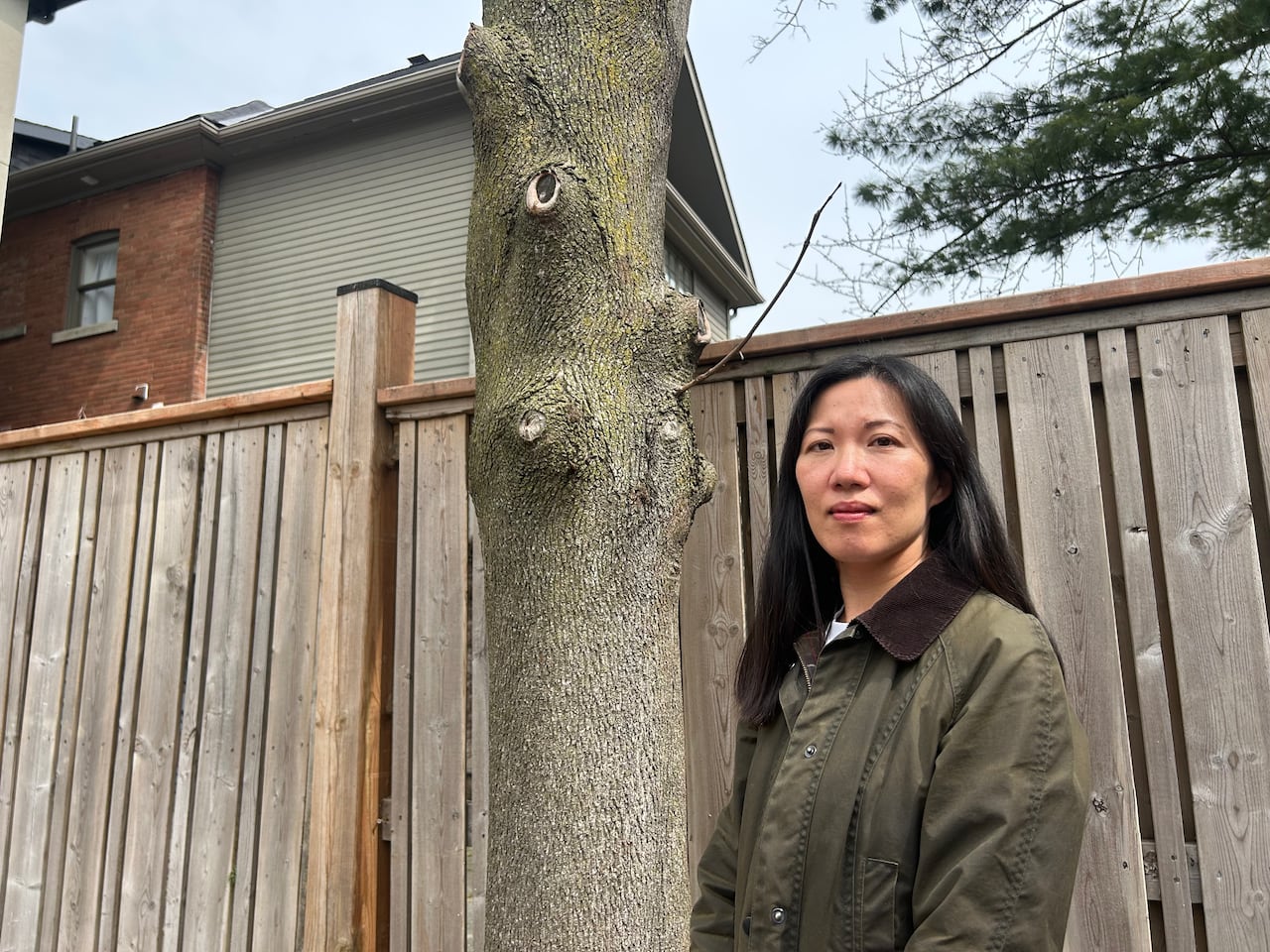 Neighbour Jennifer Wong says she felt 'violated' when the trees were suddenly removed without notice, and wants some answers from the city.