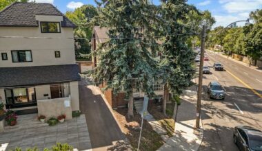 Police, city investigating tree removals from leafy midtown neighbourhood without permit