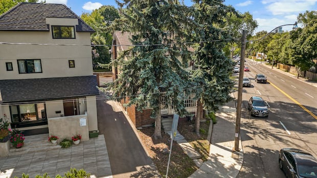 Police, city investigating tree removals from leafy midtown neighbourhood without permit