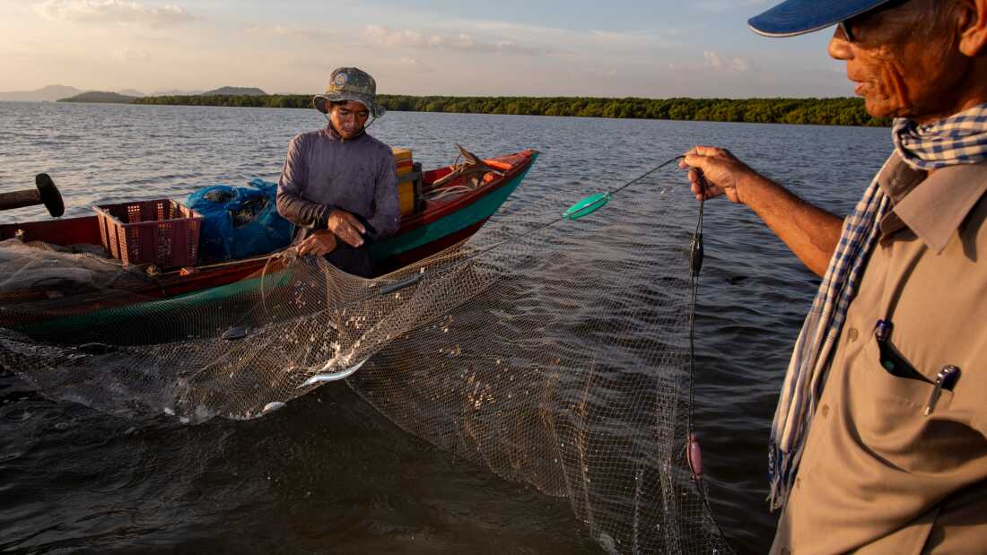 Local fisheries on the coast of Cambodia struggled with decimated fish populations for years. Today, they are teaming with seafood, thanks to local ecological restoration efforts. Here, on right, Koh Kresna village chief Khiev Sat talks with a fisherman about the day’s catch.