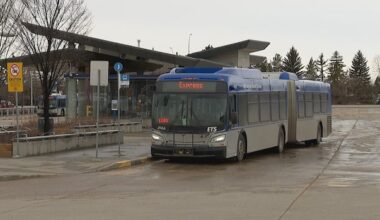 Edmonton bus report card reveals routes that aren't running on time
