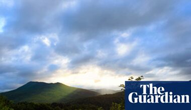 ‘Illegal’ forest service overhaul risks causing ‘chaos’ across US public lands, union claims | US news