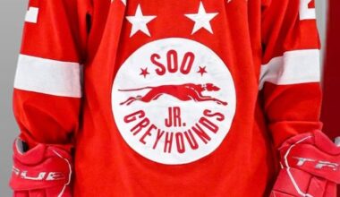 Soo Jr. Greyhounds in northern Ontario forced to forfeit hockey league title game over messy dressing room