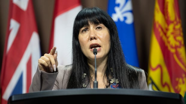 NDP's Leah Gazan calls MMIWG2SLGBTQQIA+ critics 'bigots'
