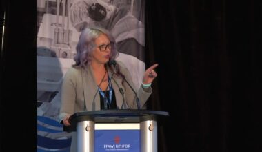 Court orders temporary halt on what seafood processors call 'illegal strike' over snow crab price