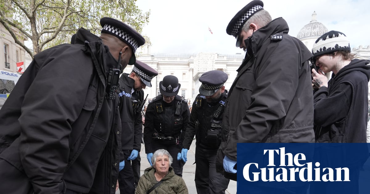 Met police make arrests at London Palestine Action protest | Protest
