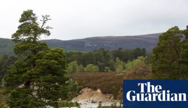 MSPs not told about collapse of funding deal for Scottish nature restoration | Scotland