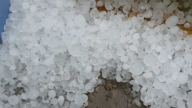 Toonie-sized hail possible as severe thunderstorm watch issued for London, Ont.