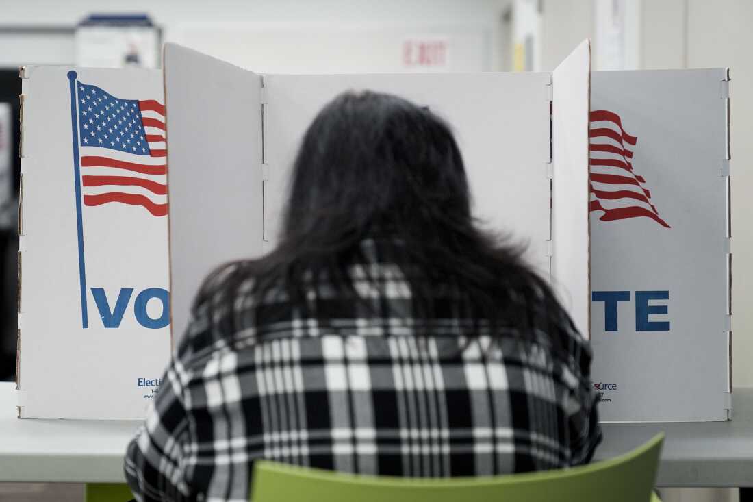 A person with their back to the camera marks their ballot in a voting booth bearing a U.S. flag and the word "Vote."