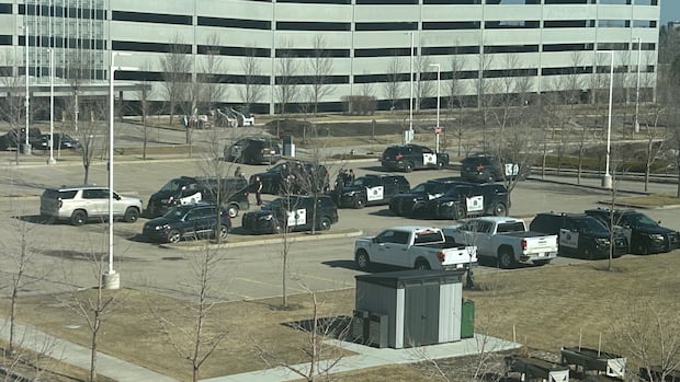 Man in custody after police respond to report of person carrying knife at Mount Royal University