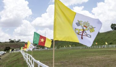 Cameroon: Separatists announce pause of hostilities for Pope's visit