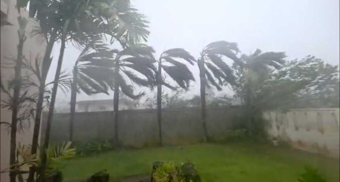 This image provided by Glen Hunter, shows high winds during a super typhoon on Tuesday, April 14, 2026 in the island of Saipan.