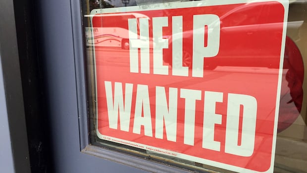 The tough job market isn't getting any better for young Canadians