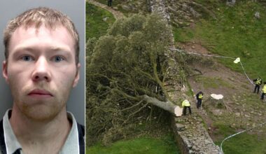Adam Carruthers who felled Sycamore Gap tree released from prison after 10 months behind bars