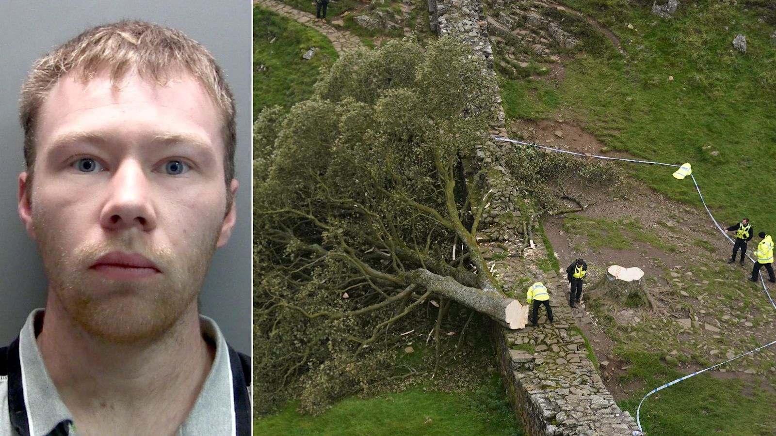 Adam Carruthers who felled Sycamore Gap tree released from prison after 10 months behind bars