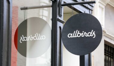 S.F. shoe brand Allbirds pivots to AI, shares surge