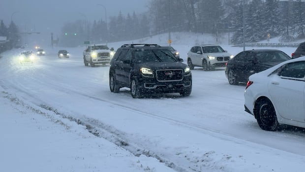 Heavy spring snowstorm blankets Calgary