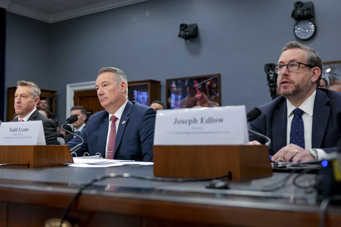 Rodney Scott (L), commissioner of U.S. Customs and Border Protection, Todd Lyons (C), acting director of Immigration and Customs Enforcement, and Joseph Edlow (R), director of US Citizenship and Immigration Services, testify before a House appropriations subcommittee on April 16 in Washington, D.C.