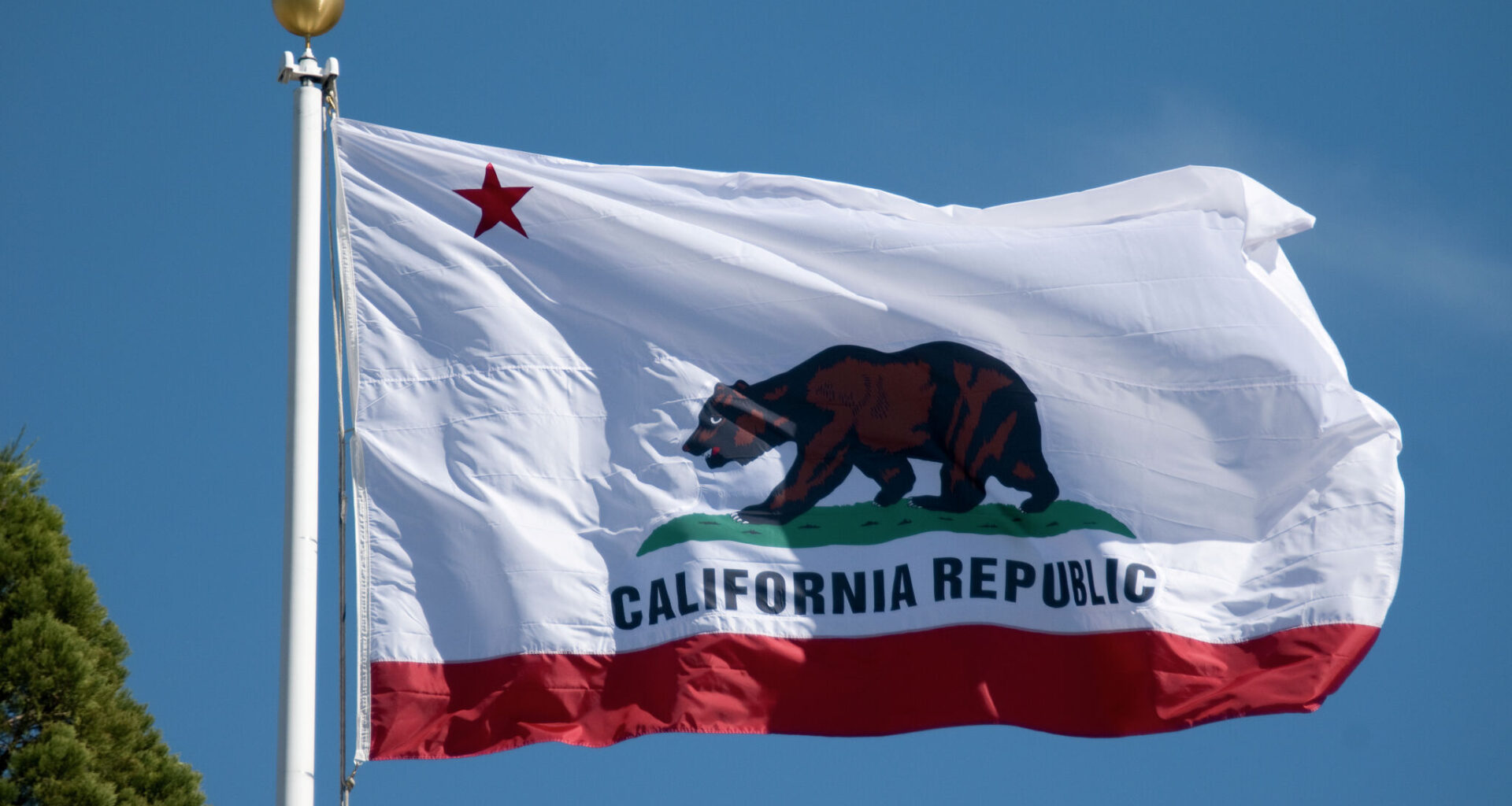 Swalwell exit jolts California governor's race, new poll reveals shift