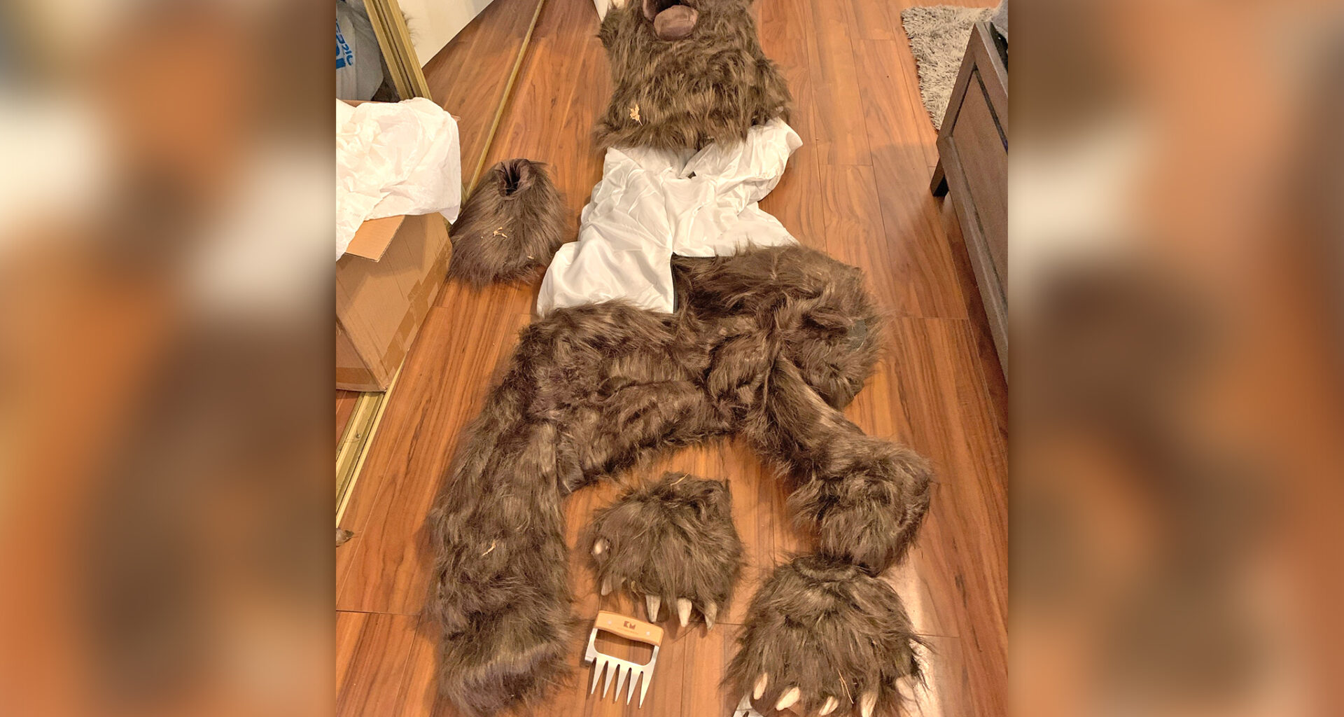 3 sentenced in 'unbelievable' bear attack insurance scam