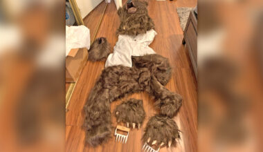 3 sentenced in 'unbelievable' bear attack insurance scam