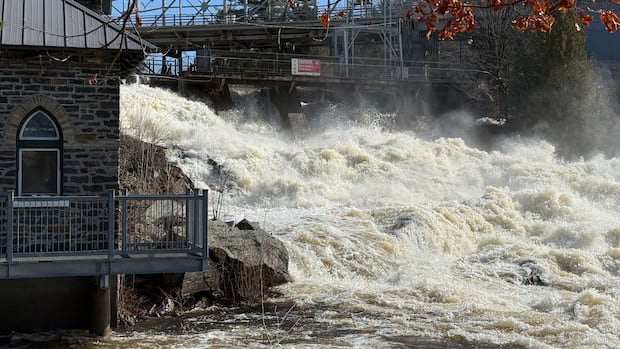 IN PHOTOS | Flooding swamps parts of Ontario's cottage country