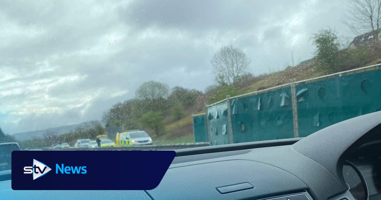 Two drivers dead in crash after car 'driven on wrong side' of M90