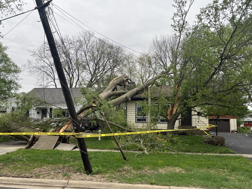 A house is surrounded by caution tape after a large tree fell on it, dislodging and buckling a residential sidewalk.