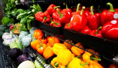 Public grocery stores are having a moment. Can they really make food more affordable?